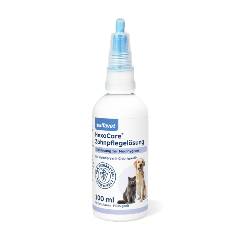 alfavet produkte HexoCare Zahnpflegelösung