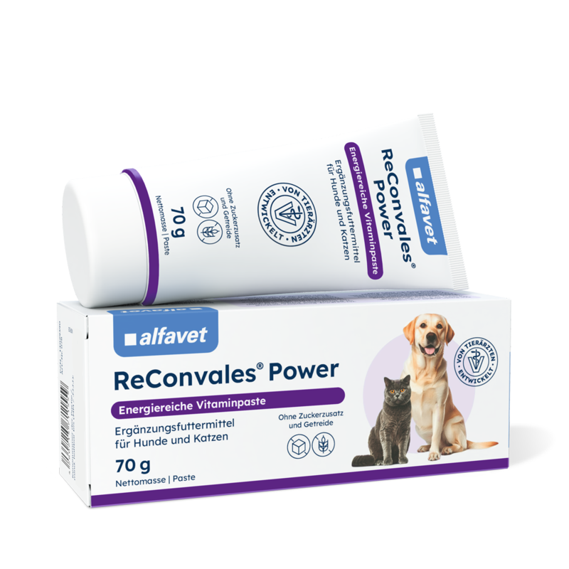 alfavet Produkte ReConvales Power für Hunde und Katzen