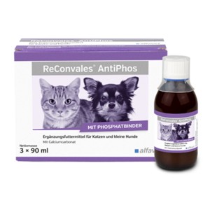 alfavet Produkte ReConvales AntiPhos für Katzen und kleine Hunde
