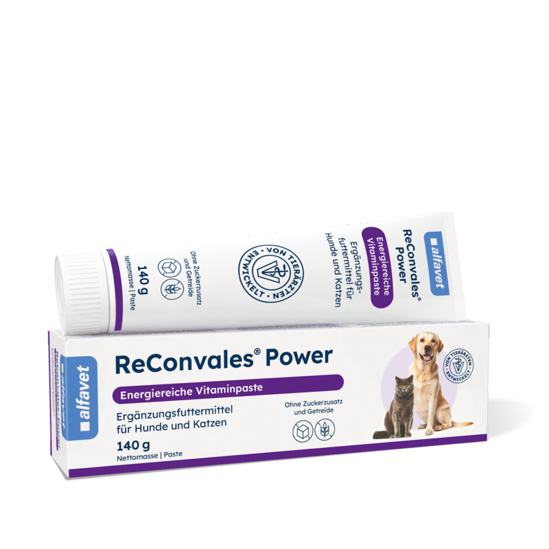 alfavet Produkte ReConvales Power 140g