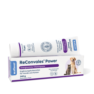 alfavet Produkte ReConvales Power 140g