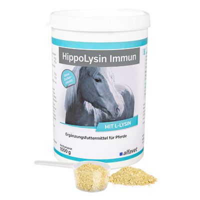 alfavet Produkte HippoLysin Immun für Pferde