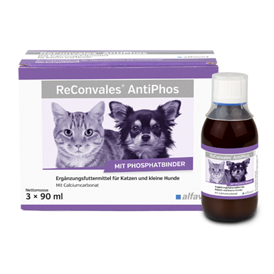alfavet Produkte ReConvales AntiPhos für Katzen und kleine Hunde