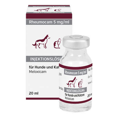 alfavet produkte rheumocam für Hunde Katzen