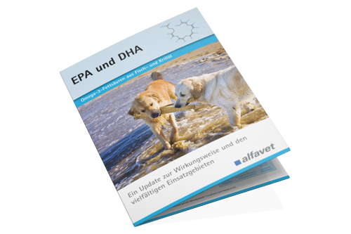 alfavet Tierhalterinfos EPA DHA Broschüre