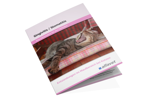 alfavet tierhalterinfos gingivitis stomatitis broschüre
